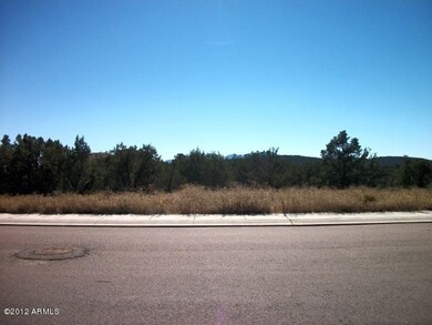 0 N Earhart Pkwy unit CLO 4835196, Payson, AZ 85541 - photo 3