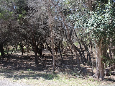 535 Ridgerock Dr, Canyon Lake, TX 78133 - photo 2