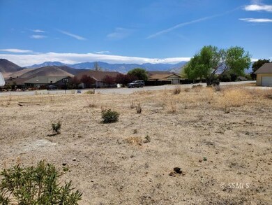 Looking from back of lot
