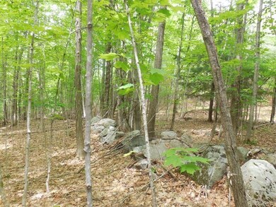 250 Drews Mill Rd, Biddeford, ME 04005 - photo 2