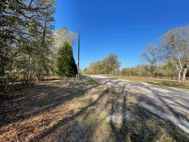 232 SW Stell Glen, Lake City, FL 32024 - photo 4