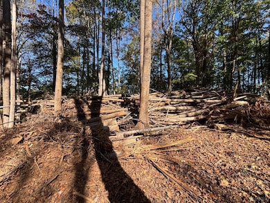 0 Locust Dr, Cascade, VA 24069 - photo 6