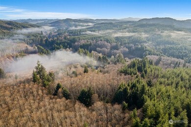 295 Butte Creek Rd, Raymond, WA 98577 - photo 7