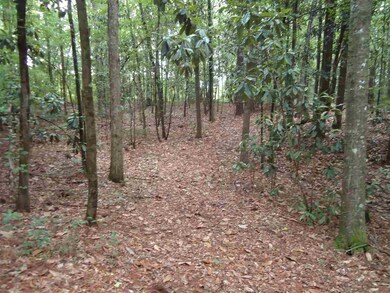 0 Highway 472 unit 1321431, Georgetown, MS 39078 - photo 7