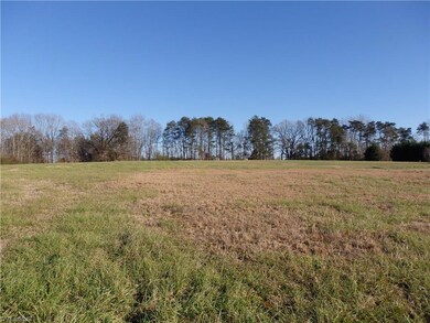 2 Pleasant Ridge Rd, Franklinville, NC 27248 - photo 2