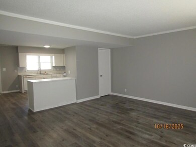 1703 Fawn Vista Dr N unit 2, Myrtle Beach, SC 29575 - photo 2