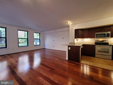 The Lafayette at Penn Quarter unit 235, Washington, DC 20004 - photo 5