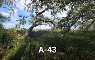just beautiful marsh, photo Sept 2023
