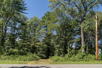 43 Buttermilk Falls Rd, Catskill, NY 12414 - photo 2