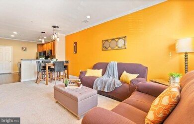 22705 Settlers Trail Terrace, Ashburn, VA 20148 - photo 5