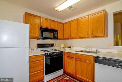 9111 Gracious End Ct unit 301, Columbia, MD 21046 - photo 3