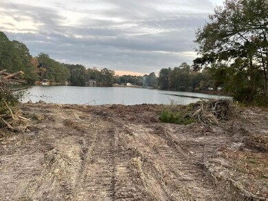 51 Pineland Rd, Midway, GA 31320 - photo 3