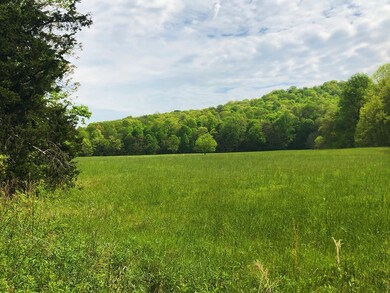 5800 SE Sheep Bluff Rd, Cookeville, TN 38506 - photo 7