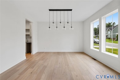 17300 Singing Bird Turn, Moseley, VA 23120 - photo 6