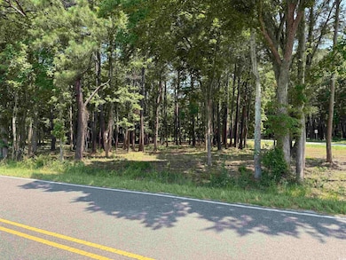 View of asphalt road with a view of trees