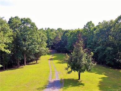 Grazing area or front yard with fruit tree