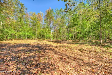 1446 Cove Ln, Oliver Springs, TN 37840 - photo 3