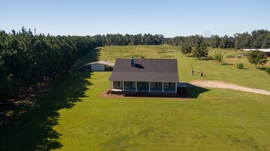 14183 Georgia 93, Baconton, GA 31716 - photo 6