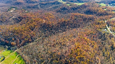 DJI_20241105110513_0006_D