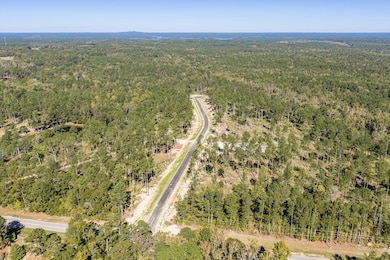 128 Beagle Chase Dr, Appling, GA 30802 - photo 6