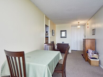 Harbor Towers unit 9D, Boston, MA 02110 - photo 6