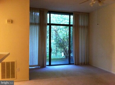 11562 Rolling Green Ct unit 100, Reston, VA 20191 - photo 5