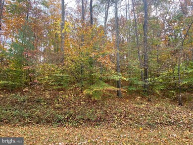 17134 Arrow Point Dr, Orange, VA 22960 - photo 2