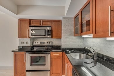 Washington on the Square unit 410, Brookline, MA 02446 - photo 3