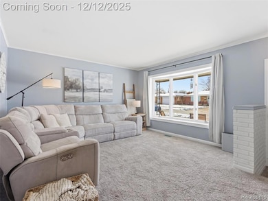 25300 Loretta Ave, Warren, MI 48091 - photo 4