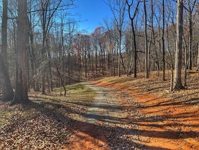 403 Ball Park Rd, Rocky Mount, VA 24151 - photo 4