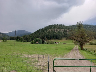 Parcel AB Daisy Mine Rd, Gifford, WA 99131 - photo 7