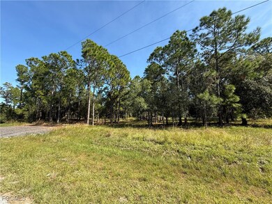 335 N Lindero St, Montura, FL 33440 - photo 4