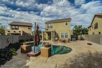 Backyard 1
