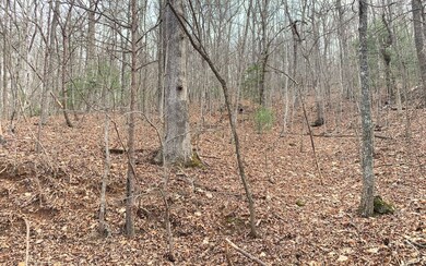 Additional View