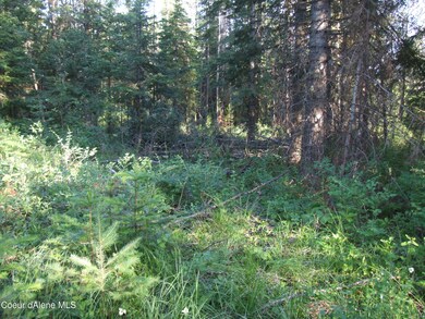 0 N Nikkoma Rd, Rathdrum, ID 83858 - photo 6