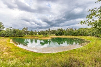 1126 Abel Rd, New Ulm, TX 78950 - photo 3