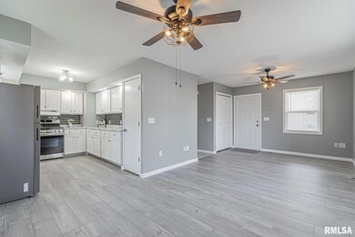 524 N Hamilton St, Lincoln, IL 62656 - photo 4