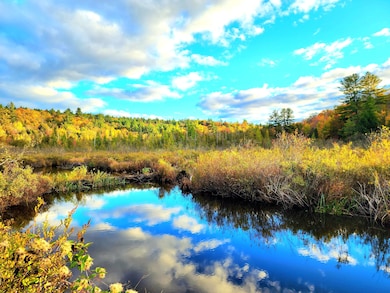 17 Blanchard Dr, Diana Center, NY 13648 - photo 6