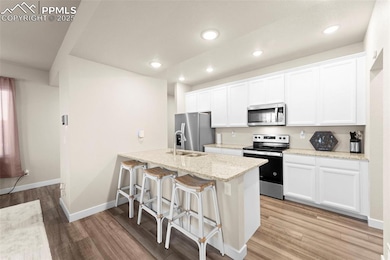 11490 Whistling Duck Way, Colorado Springs, CO 80925 - photo 7