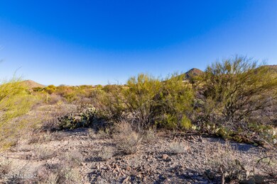 0007-Tohono Crossing 7