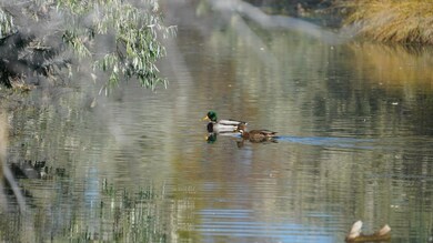 2615 Teal Spring Dr, Sheridan, WY 82801 - photo 7