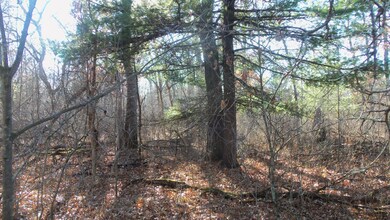 Lot 1 Ferry Rd, Grantsburg Township, WI 54840 - photo 7