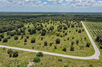 0 SW Hull Ave unit MFRN6141610, Arcadia, FL 34269 - photo 3