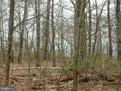 0 Fancy Hill Rd, Boyertown, PA 19512 - photo 5