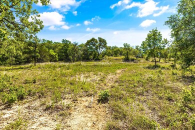 4005 Fall Creek Dr, Weatherford, TX 76087 - photo 4