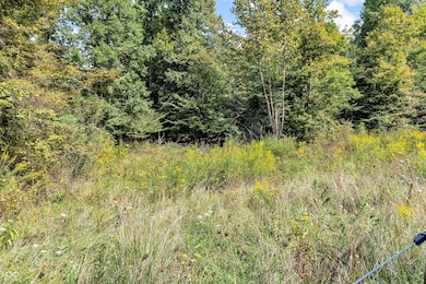 0 300 Rd W unit MBR22075106, Cloverdale, IN 46120 - photo 4