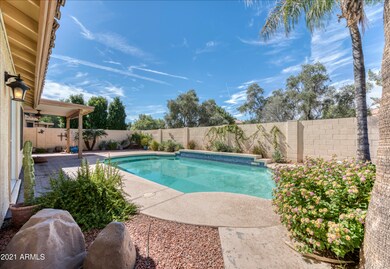 Exterior Backyard