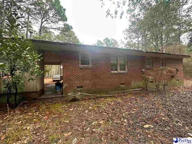 53 Drylog Ave, Kingstree, SC 29556 - photo 4