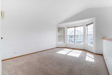 247 W Washington St unit 3265, Oswego, IL 60543 - photo 2