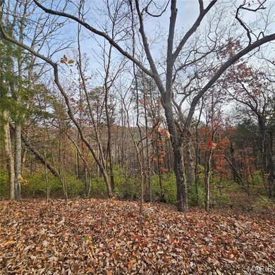 6900 Scenic View Dr, High Ridge Township, MO 63016 - photo 3